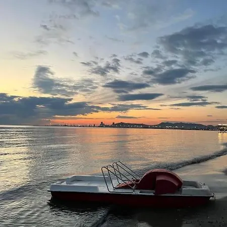 Saltwater *